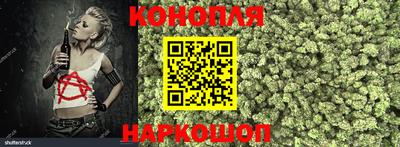 гидра Свободный
